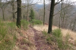 Volmelandsteig Runde – B – Rummenohl