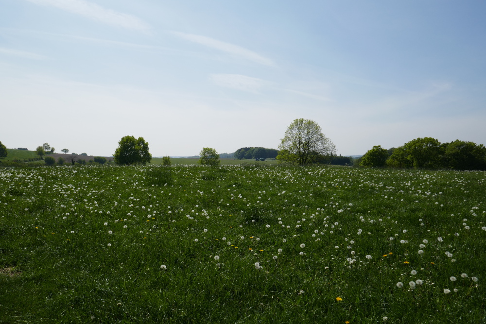 Wandern für die Andern 17