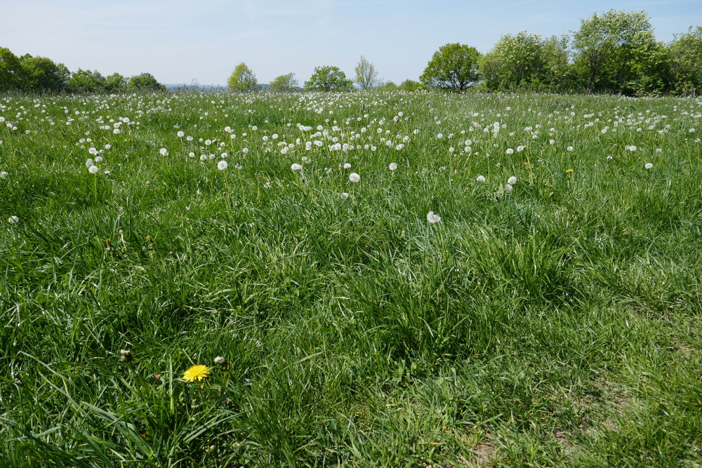 Wandern für die Andern 17