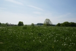 Wandern für die Andern 17