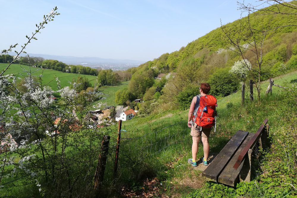 Weserbergland-Weg #02: Von Steinbergen zur Papp-Mühle