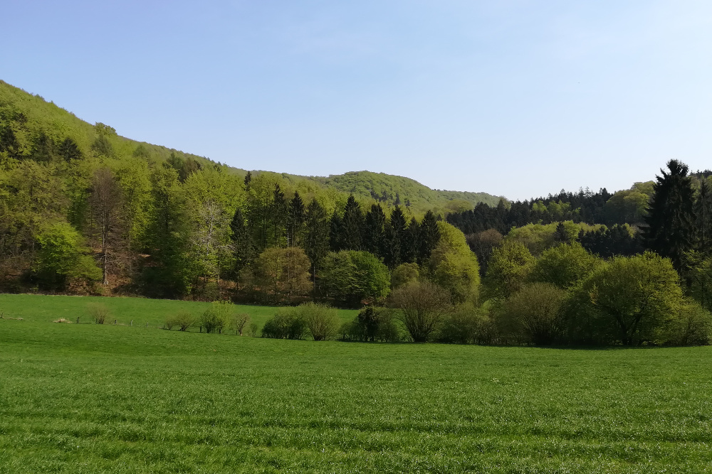 Weserbergland-Weg #02: Von Steinbergen zur Papp-Mühle