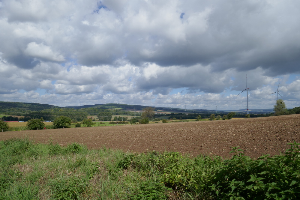 Weserbergland-Weg #05: Von Hameln bis Emmerthal