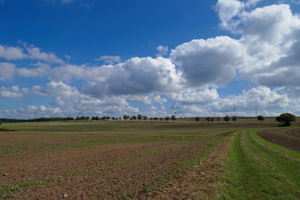 Weserbergland-Weg #06: Von Emmerthal bis Lüntorf