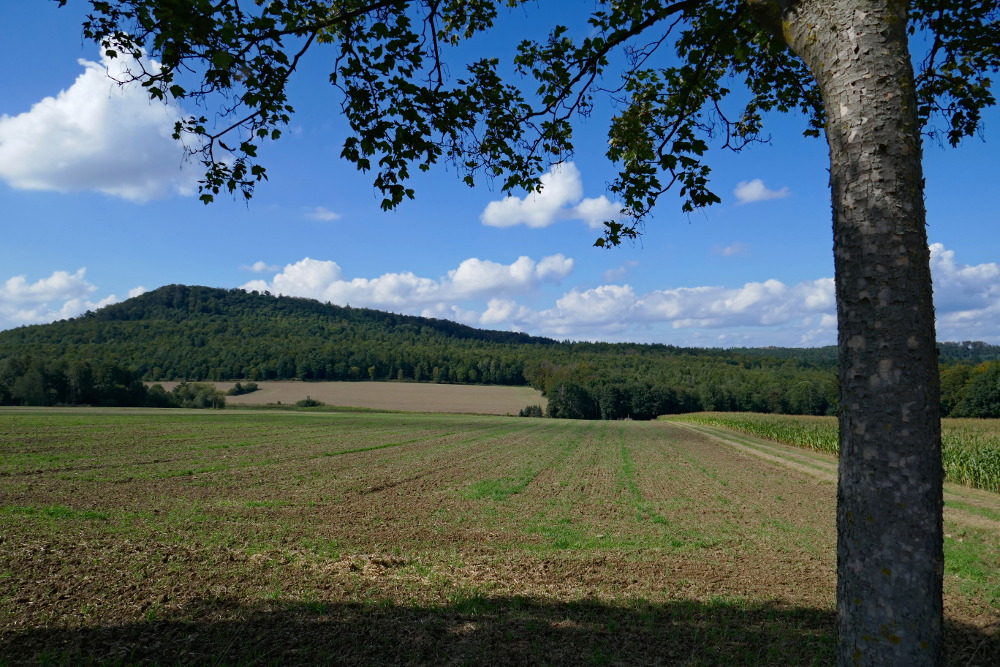Weserbergland-Weg #06: Von Emmerthal bis Lüntorf