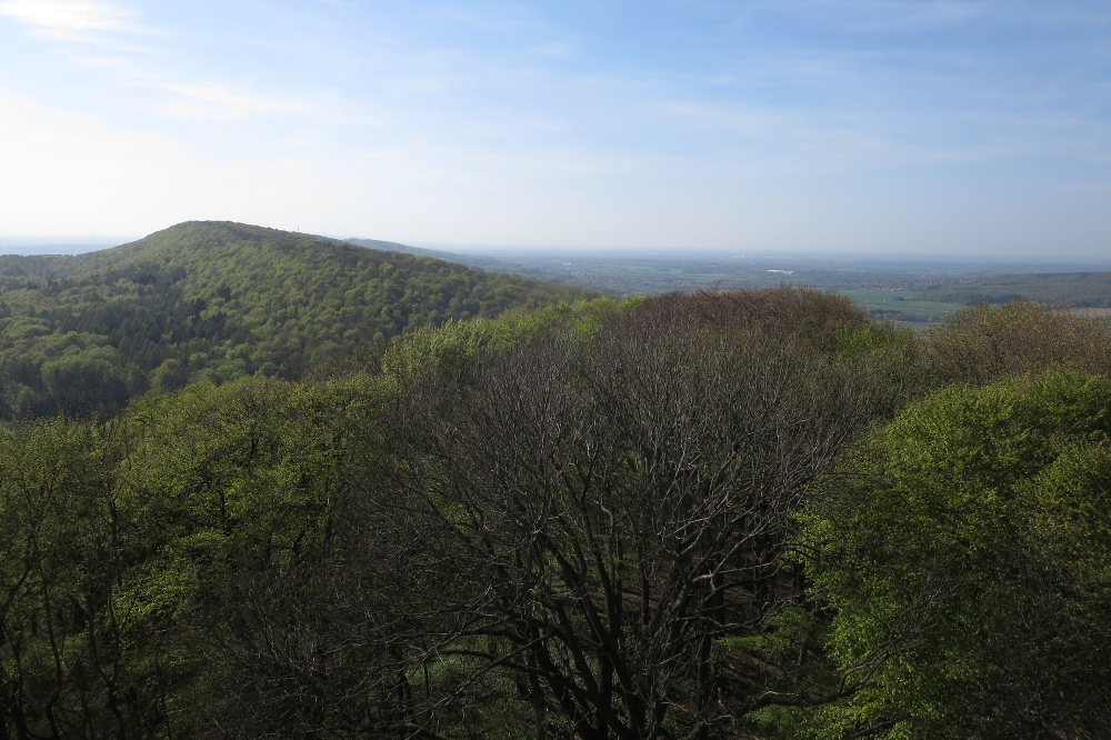 Weserbergland-Weg #01: Von Porta Westfalica bis Steinbergen