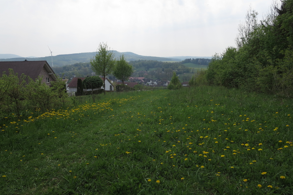 Weserbergland-Weg #04: Von Welliehausen bis Hameln