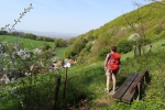 Weserbergland-Weg #02: Von Steinbergen zur Papp-Mühle