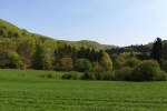 Weserbergland-Weg #02: Von Steinbergen zur Papp-Mühle