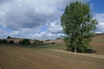 Weserbergland-Weg #05: Von Hameln bis Emmerthal