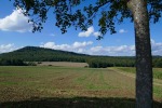 Weserbergland-Weg #06: Von Emmerthal bis Lüntorf