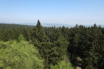 Weserbergland-Weg #03: Von der Papp-Mühle bis Welliehausen