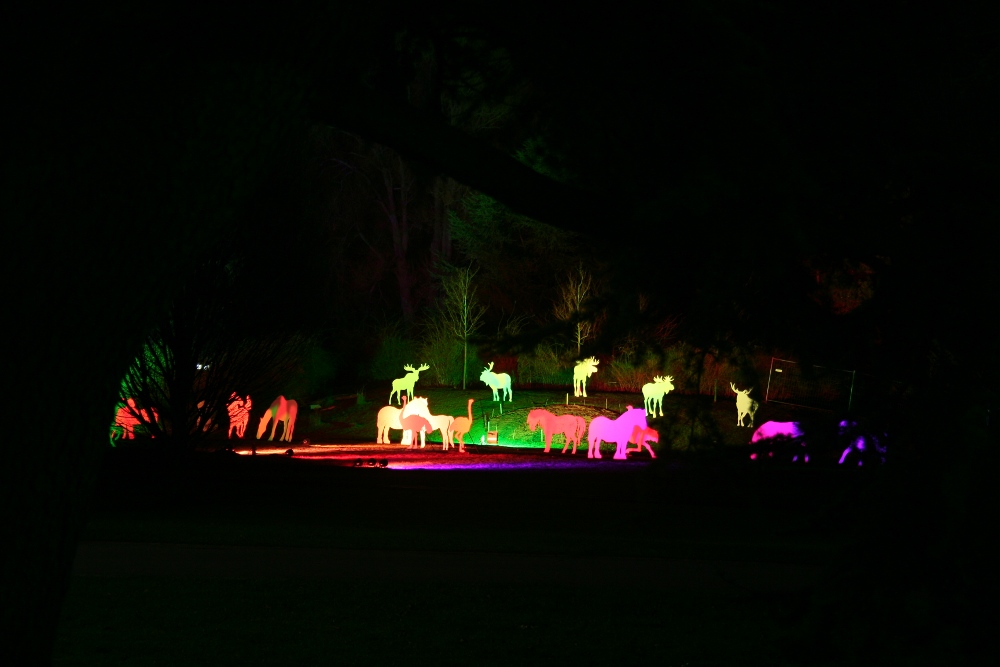 Winterleuchten 2014