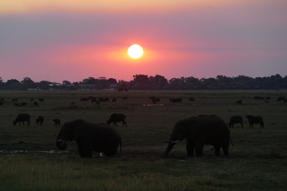 Botswana - Sonnenuntergang im Chobe-Nationalpark
