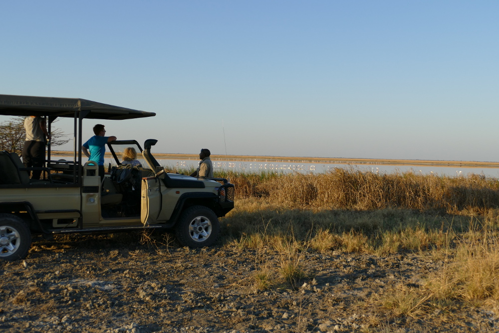 Botswana - Pirschfahrt in der Makgadigadi-Salzpfanne