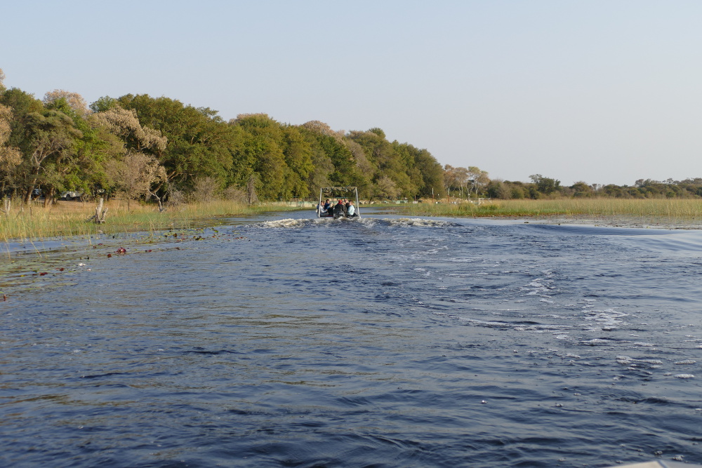 Botswana - Mit dem Speedboat ins Okavangodelta