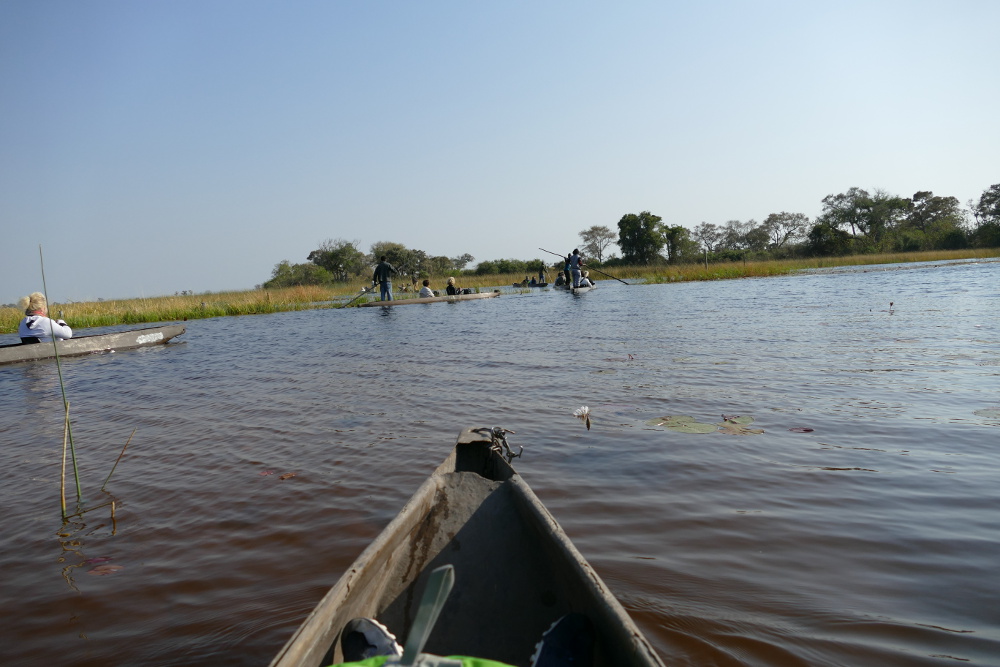 Botswana - Mokoro-Fahrt im Okavangodelta