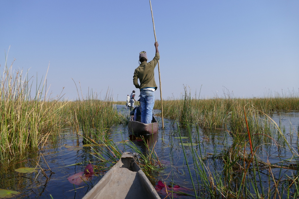 Botswana - Mokoro-Fahrt im Okavangodelta
