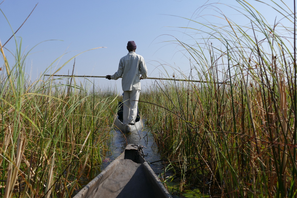 Botswana - Mokoro-Fahrt im Okavangodelta