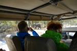 Botswana - Elefanten an der Straße zum Moremi-Reservat