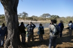 Botswana - Flusspferde im Khwai