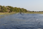 Botswana - Mit dem Speedboat ins Okavangodelta