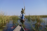 Botswana - Mokoro-Fahrt im Okavangodelta