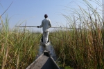 Botswana - Mokoro-Fahrt im Okavangodelta