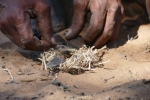 Namibia - Bei den Buschmännern