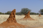 Namibia - Termitenhügel