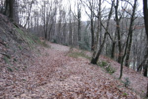 Mehr über den Artikel erfahren Mit dem Roadbook durch die Herzkämper Mulde