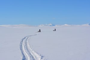 Mehr über den Artikel erfahren Lapplands Drag 2015 – Husky Expedition