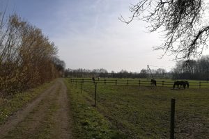 Mehr über den Artikel erfahren 88. Münsterland-Volkswandertage