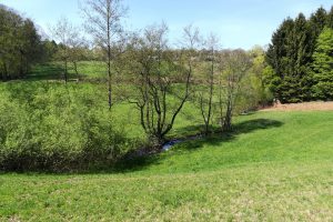Mehr über den Artikel erfahren Bergische Wanderungen – Gelpetal