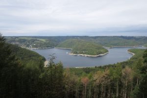 Mehr über den Artikel erfahren Nationalpark Eifel – Kermeter Ost und West