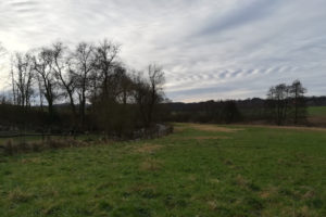 Mehr über den Artikel erfahren Track & Trail Wolfsbach