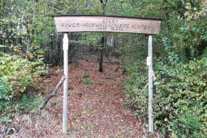 Mehr über den Artikel erfahren Traumschleife Ruwer-Hochwald-Schleife