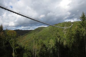 Mehr über den Artikel erfahren Traumschleife Masdascher Burgherrenweg mit Hängeseilbrücke Geierlay