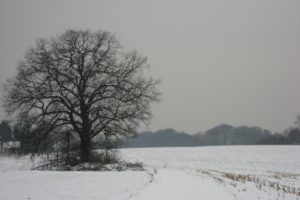 Mehr über den Artikel erfahren Rund um Bergisch-Neukirchen