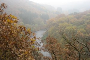 Mehr über den Artikel erfahren Über die Wupper gegangen…