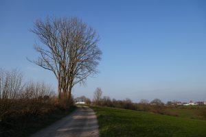 Mehr über den Artikel erfahren Wandern für die Andern 15