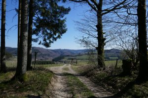 Mehr über den Artikel erfahren Sauersteig – Steinmandl Runde – Haghene