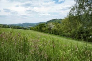 Mehr über den Artikel erfahren Entdeckerschleife: Weitblick auf das Ruhrgebiet