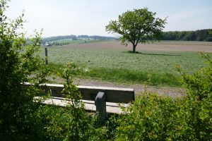 Mehr über den Artikel erfahren Wandern für die Andern 17