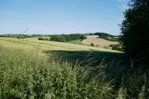 Mehr über den Artikel erfahren Track & Trail Asbachtal