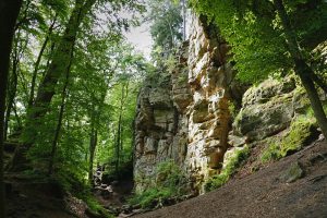 Mehr über den Artikel erfahren NaturWanderPark delux: Teufelsschlucht und Irreler Wasserfälle