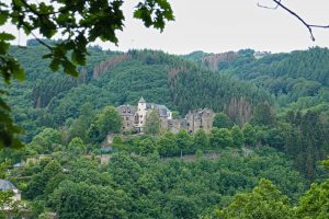Mehr über den Artikel erfahren NaturWanderPark delux: Neuer-Burg-Weg