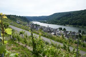 Mehr über den Artikel erfahren Traumpfad Hatzenporter Laysteig