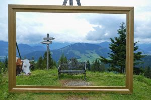 Mehr über den Artikel erfahren Kitzbüheler Alpen – Umzug ins Salzburger Land