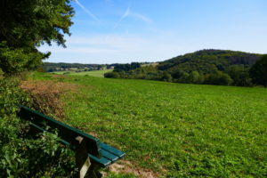 Mehr über den Artikel erfahren Hermannshöhen #06 – Von Borgholzhausen bis Halle Westfalen